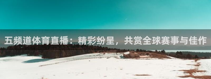 新球直播：五频道体育直播：精彩纷呈，共赏全球赛事与佳作