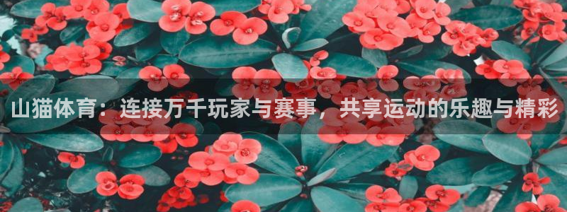 新球：山猫体育：连接万千玩家与赛事，共享运动的乐趣与精彩
