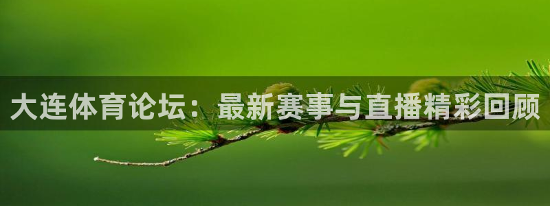 新球足球：大连体育论坛：最新赛事与直播精彩回顾