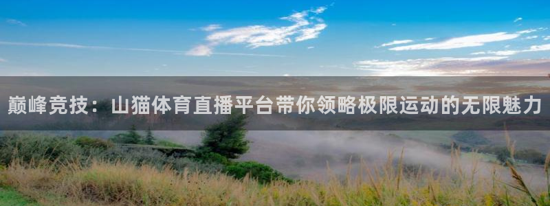 新球体育直播：巅峰竞技：山猫体育直播平台带你领略极限运动的无限魅力