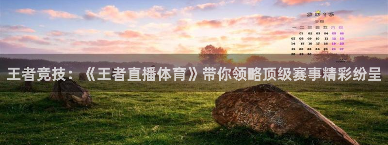 新球网直播：王者竞技：《王者直播体育》带你领略顶级赛事精彩纷呈