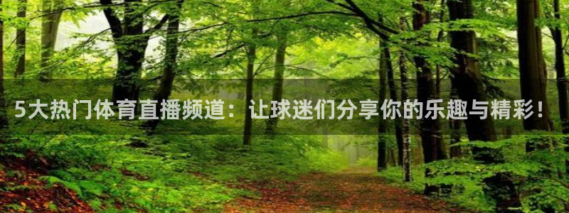 新球体育比分：5大热门体育直播频道：让球迷们分享你的乐趣与精彩！