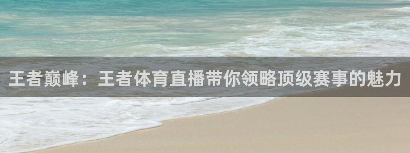 新球体育网球比分：王者巅峰：王者体育直播带你领略顶级赛事的魅力