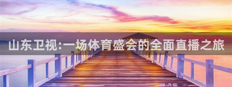 新球体育app：山东卫视:一场体育盛会的全面直播之旅