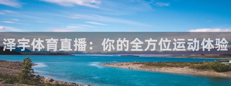 新球体育比分：泽宇体育直播：你的全方位运动体验