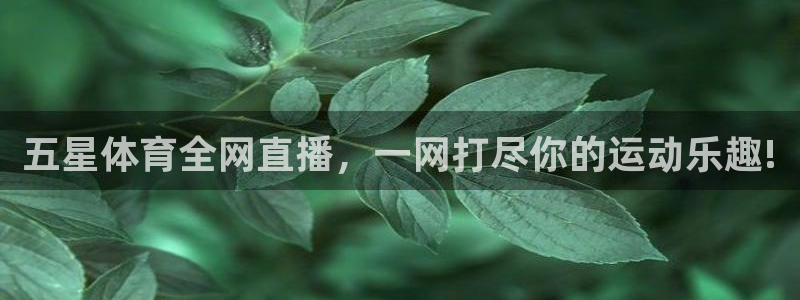 新球体育足球即时比分：五星体育全网直播，一网打尽你的运动乐趣!