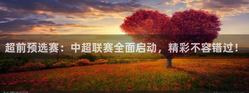新球：超前预选赛：中超联赛全面启动，精彩不容错过！